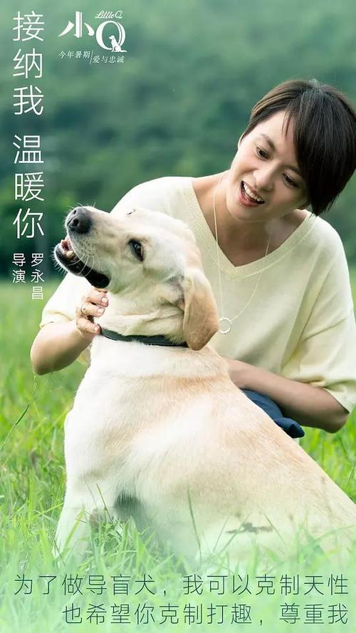 南内华达学院学位证电子图